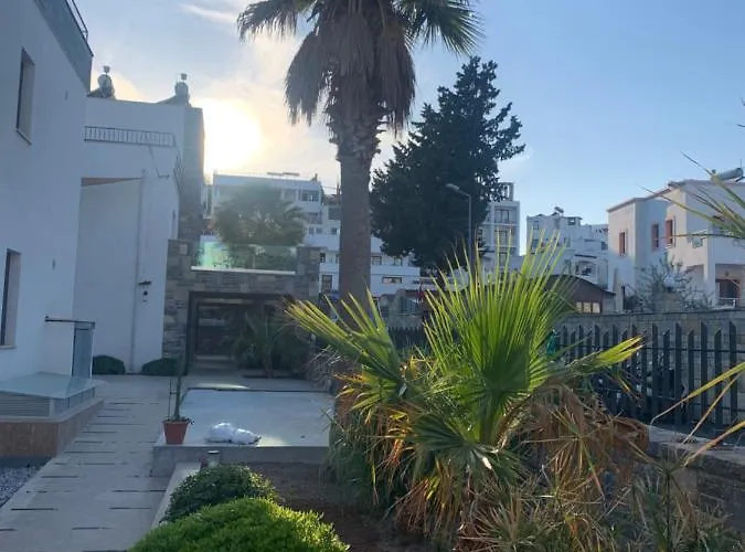 Orya Aparts Гумбет